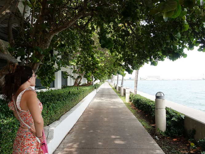 MIA_2023-08-21 14-55-57_RX_06357